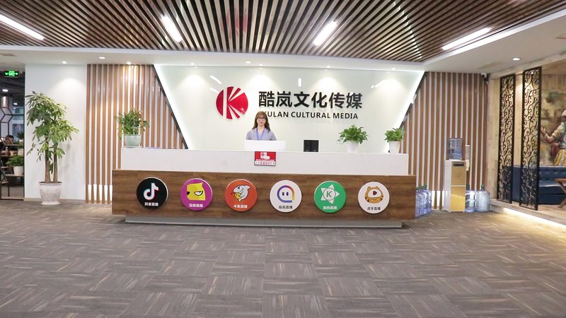品牌发布会策划方案定制